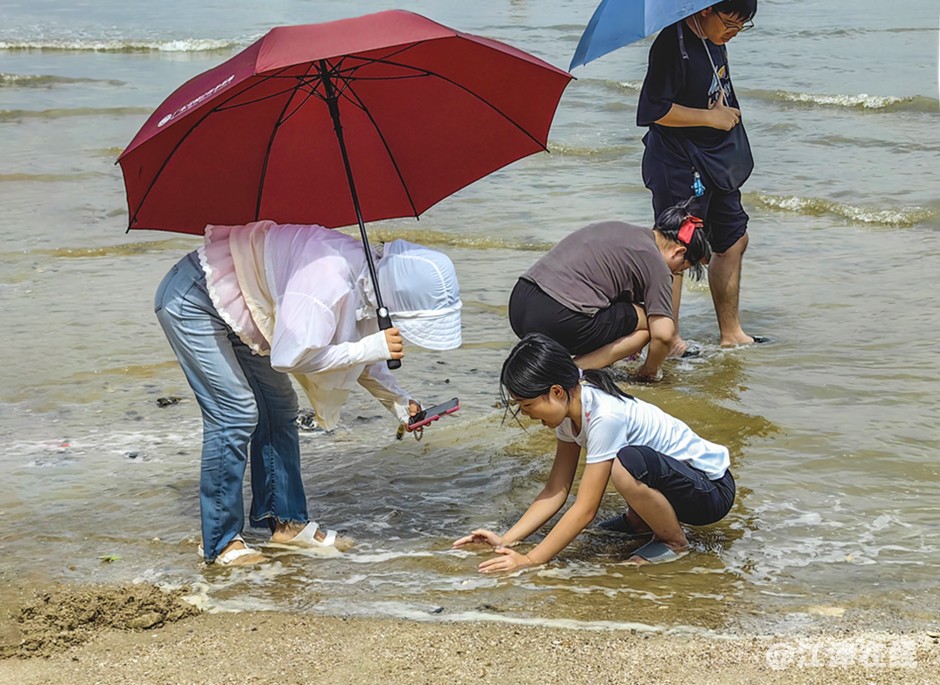 赶海 (9).jpg