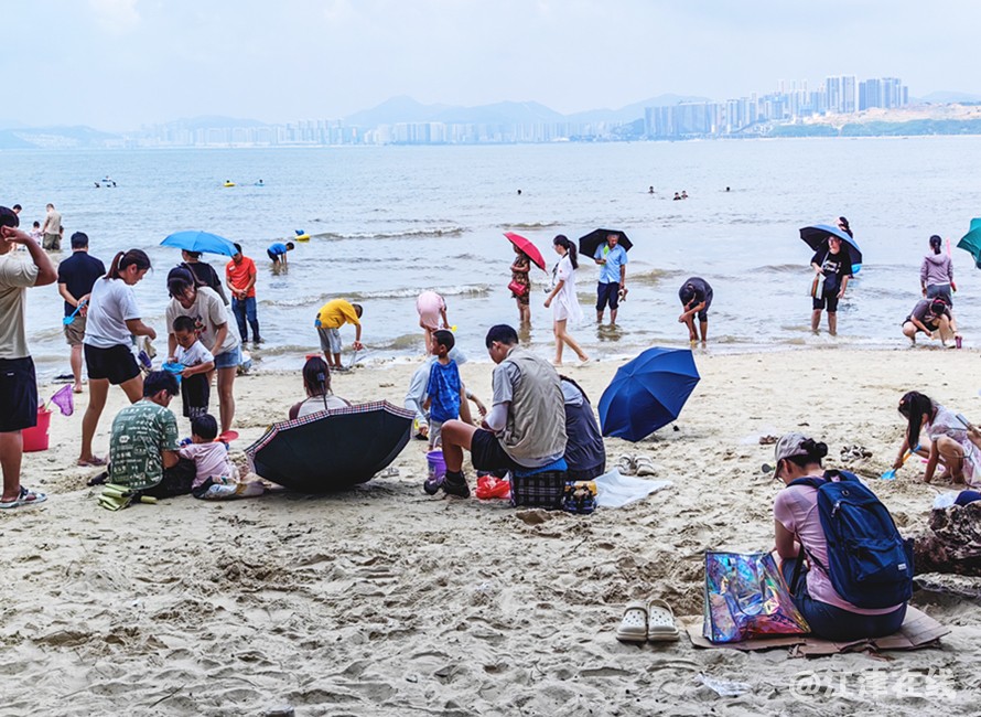 赶海 (11).jpg