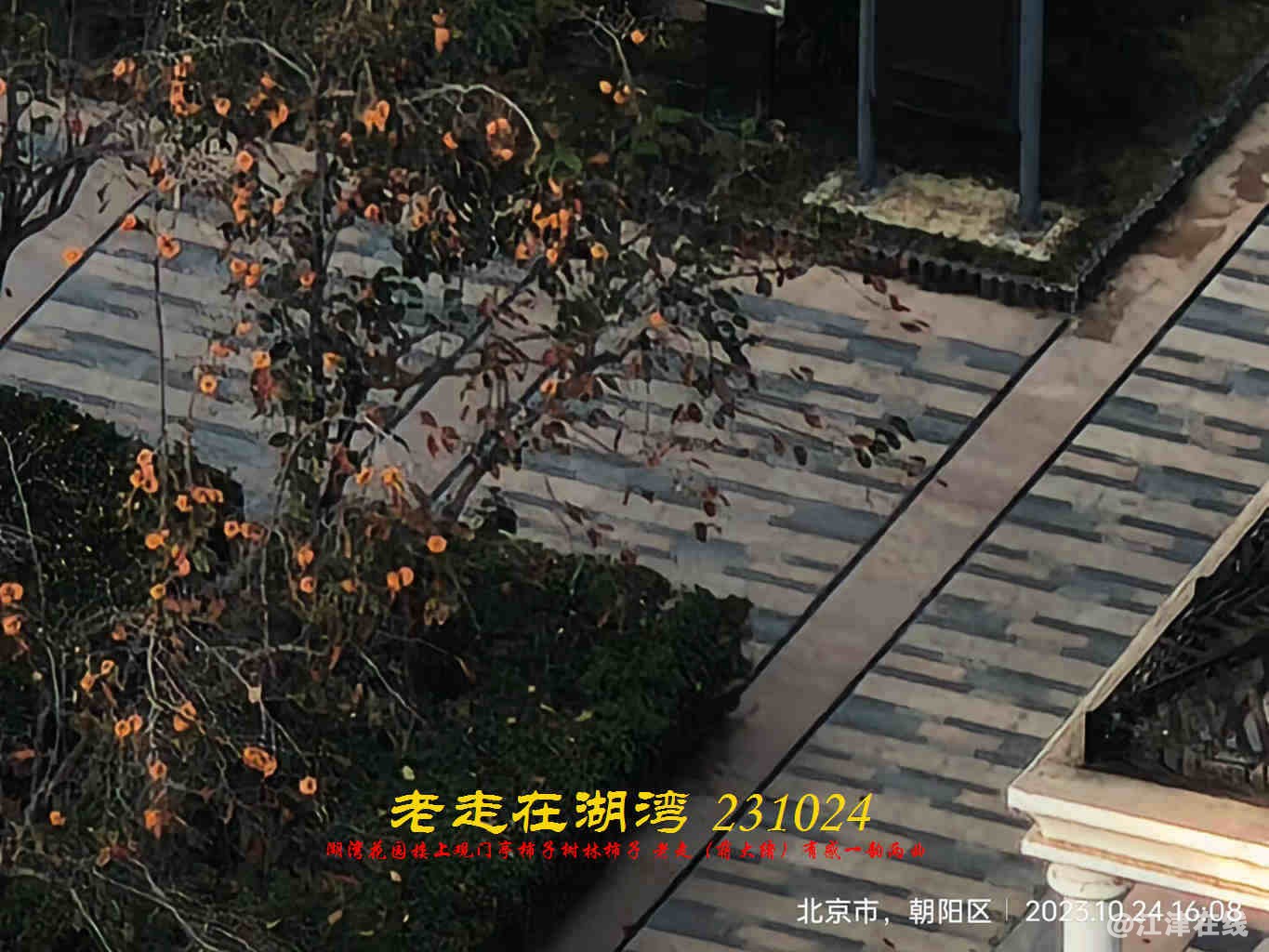 JYZ 20231024 WBQ (14).jpg