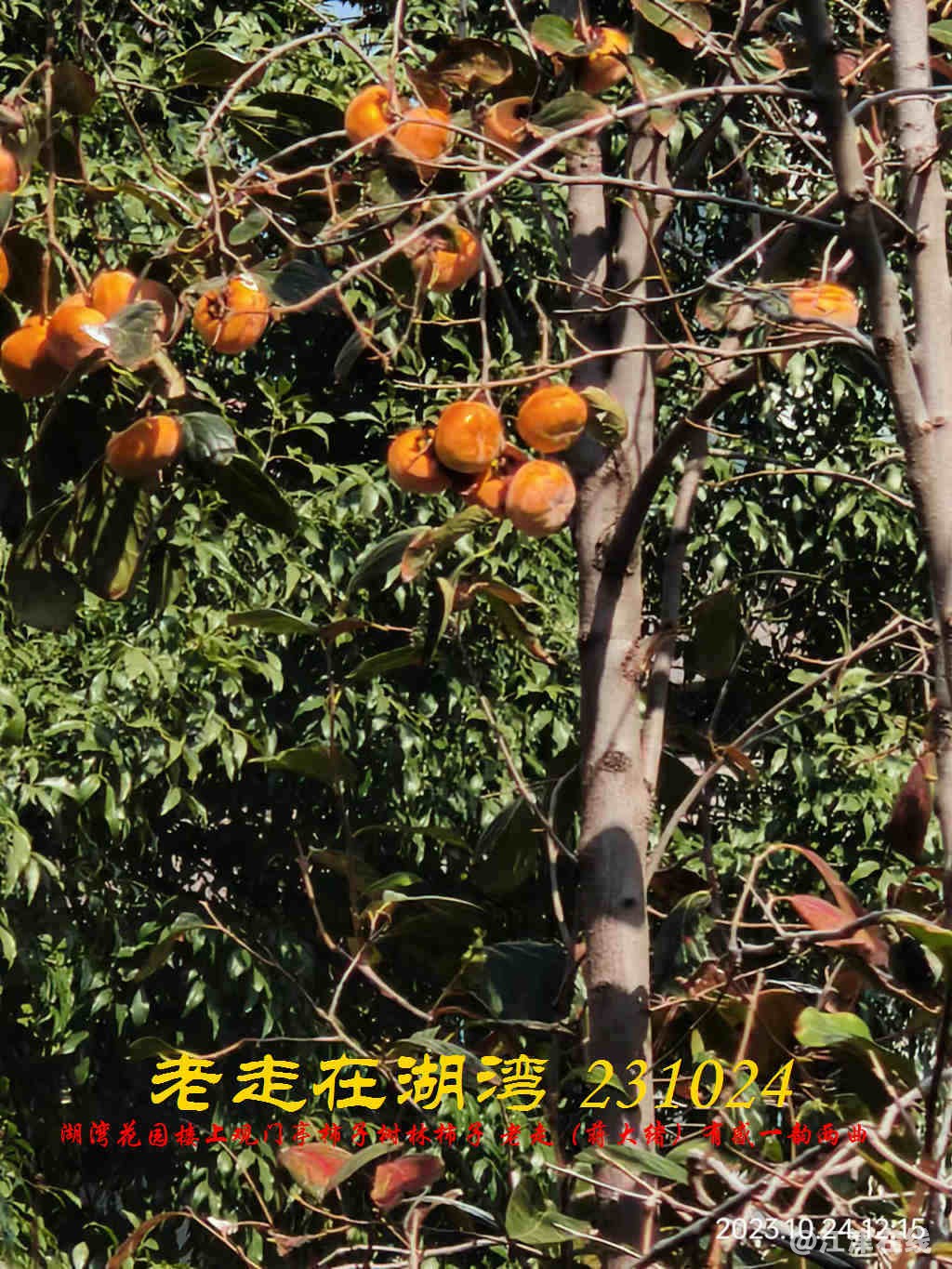 JYZ 20231024 WBQ (18).jpg