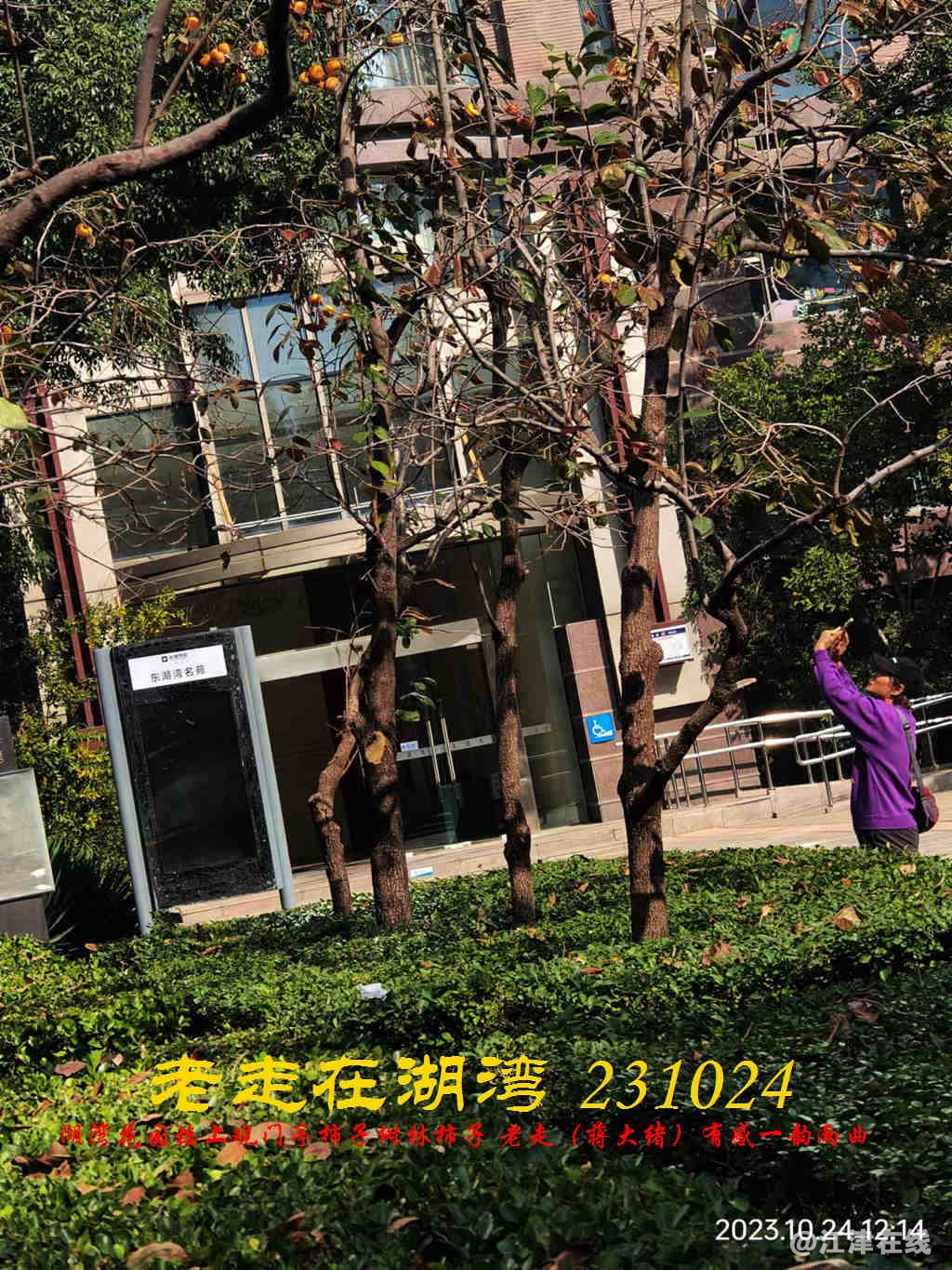 JYZ 20231024 WBQ (21).jpg