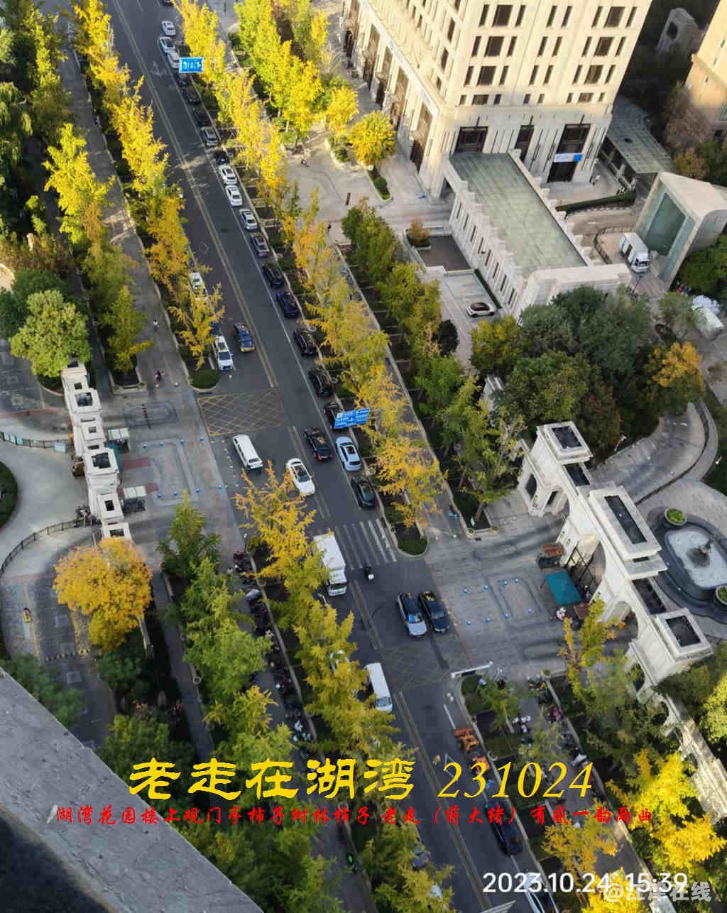 JYZ 20231024 WBQ (34).jpg