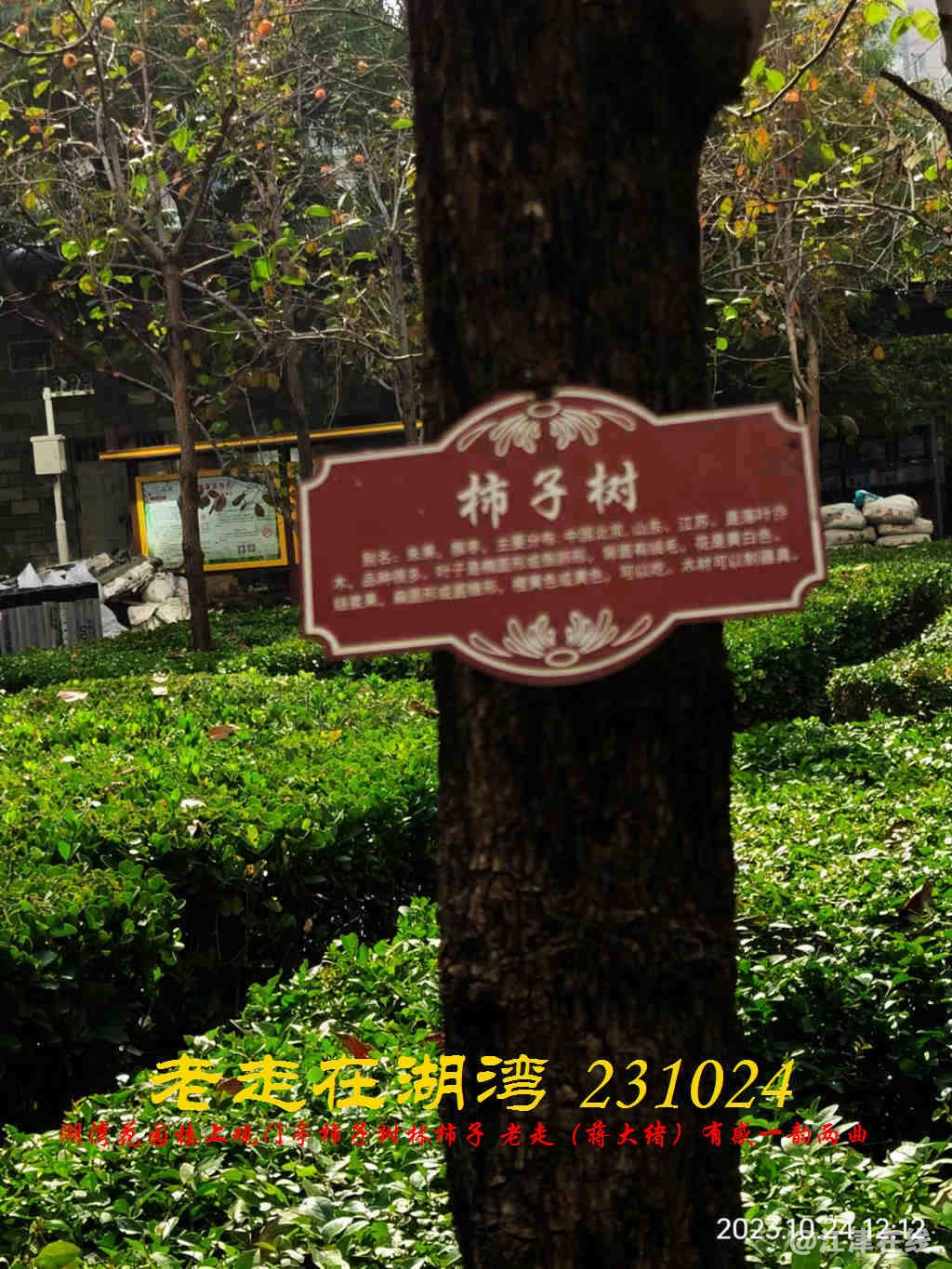 JYZ 20231024 WBQ (20).jpg