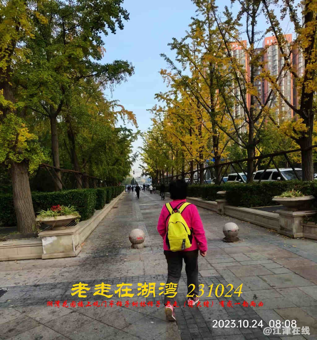 JYZ 20231024 WBQ (41).jpg