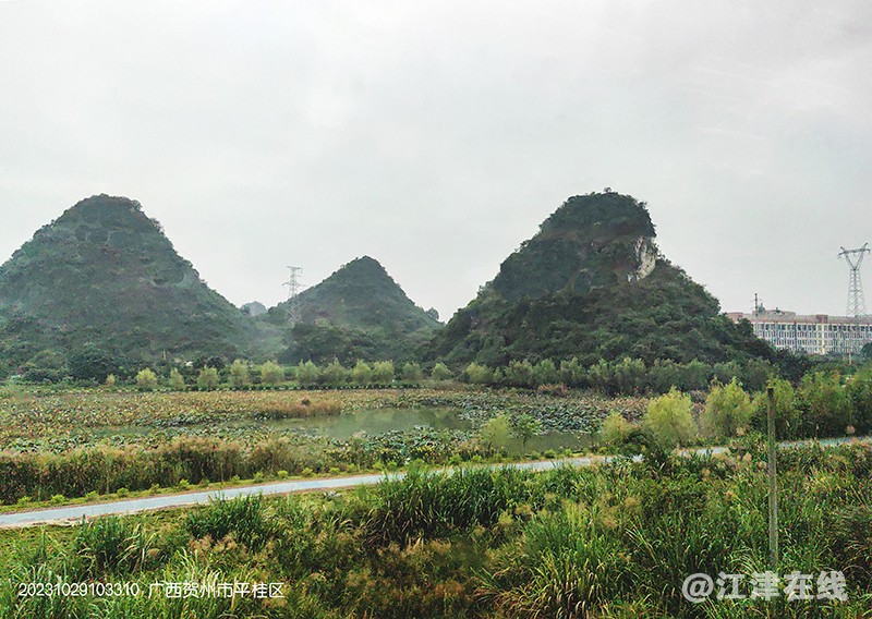 IMG_20231029_103310副本副本.jpg