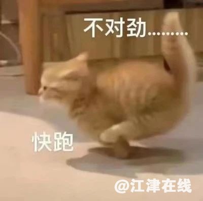 8960c0da4a2dd34f625f7c03119aac44.jpg