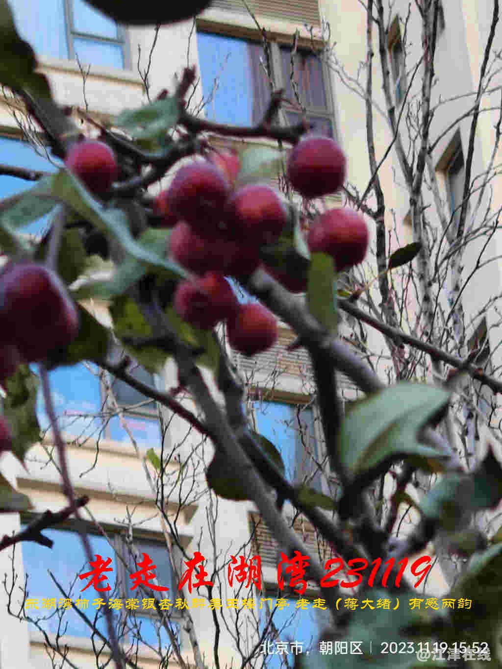 JYZ 20231119 WBQ (25).jpg