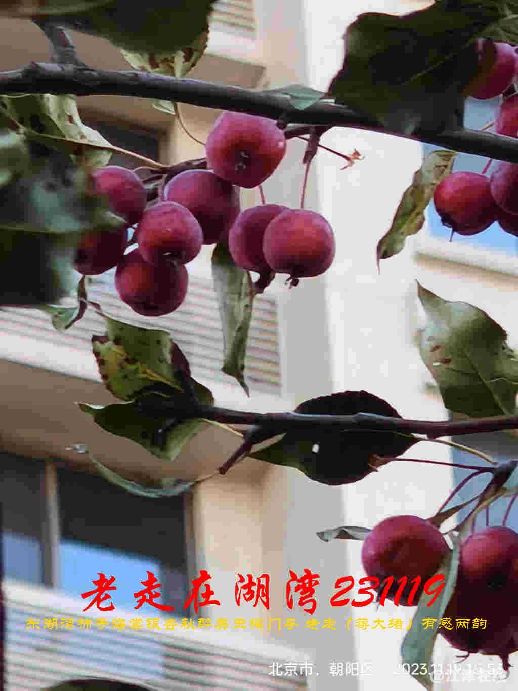 JYZ 20231119 WBQ (26).jpg
