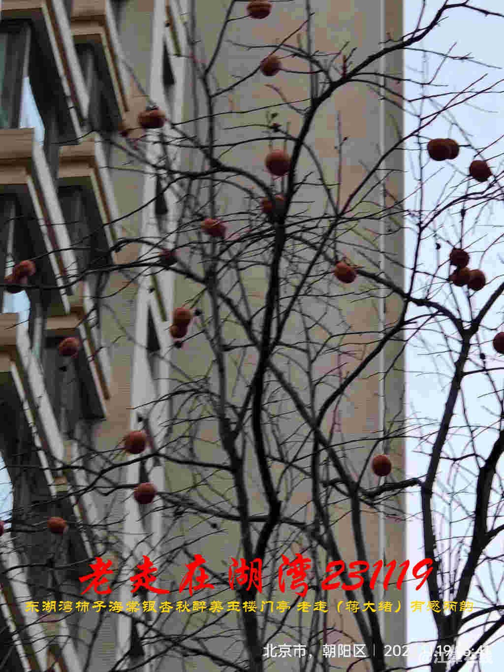 JYZ 20231119 WBQ (40).jpg