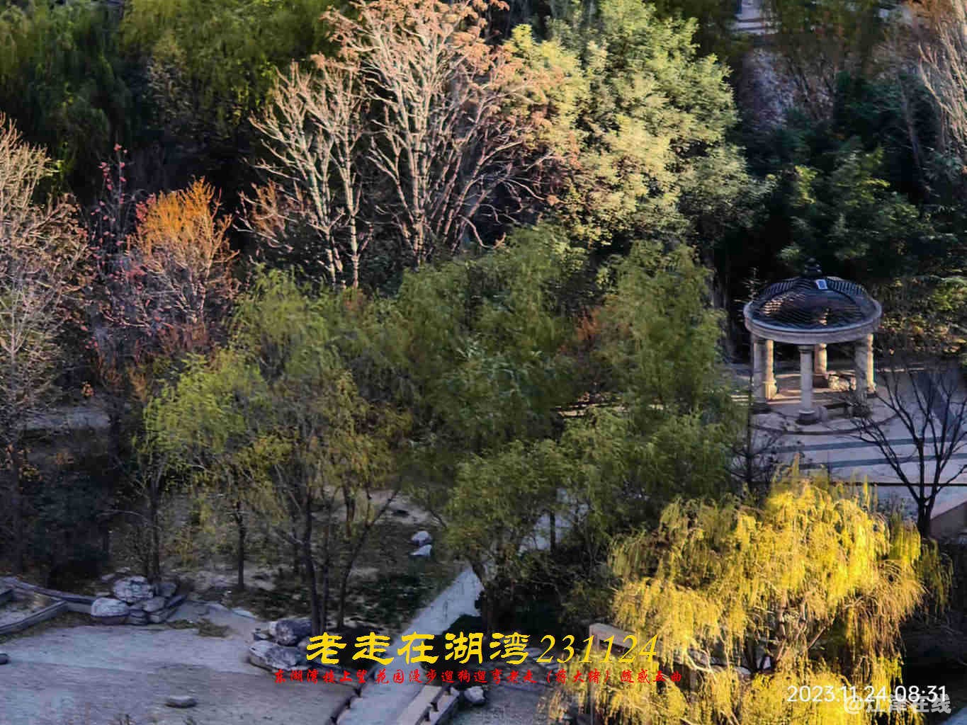 JYZ 20231124 WBQ (19).jpg
