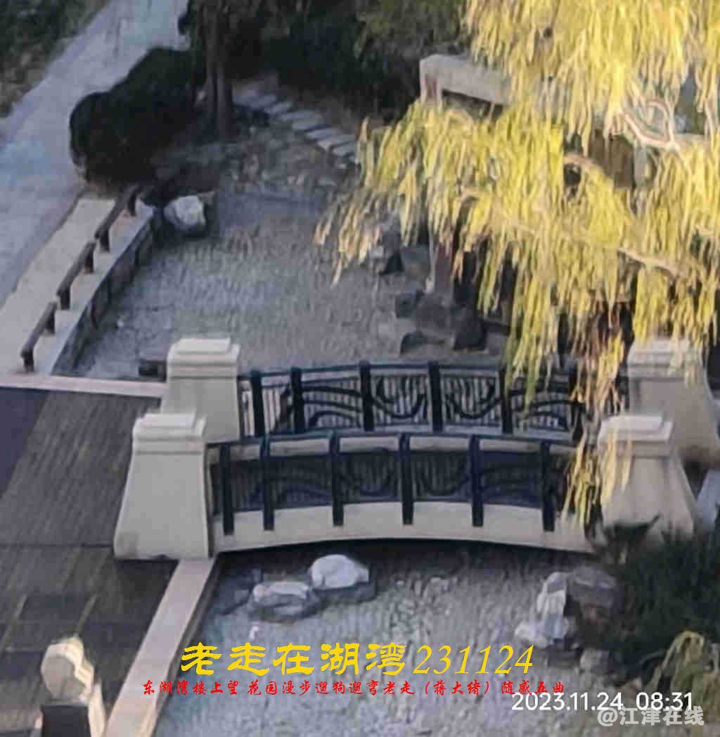 JYZ 20231124 WBQ (18).jpg