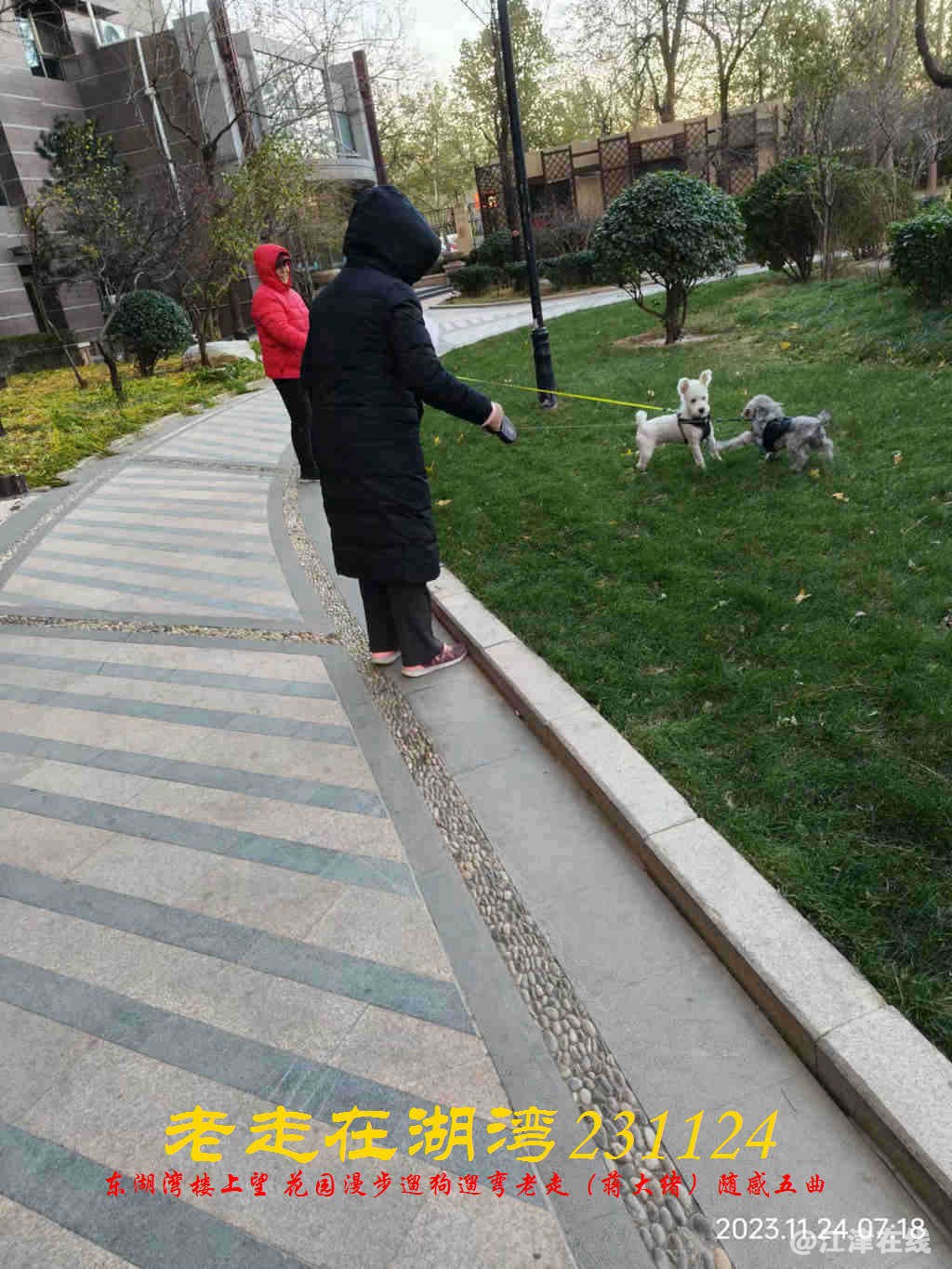 JYZ 20231124 WBQ (43).jpg
