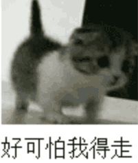 8a66ab9e483bc17de62083f9a8eba219.gif