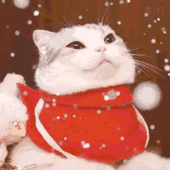 9503dc9857e5d5cb74fdee042d48ffac.gif