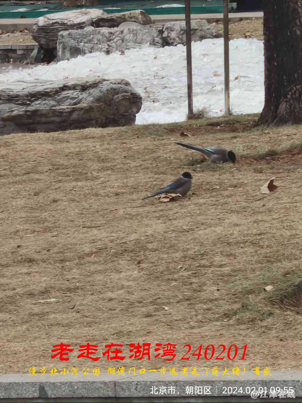JYZ 20240201 WBQ (43).jpg