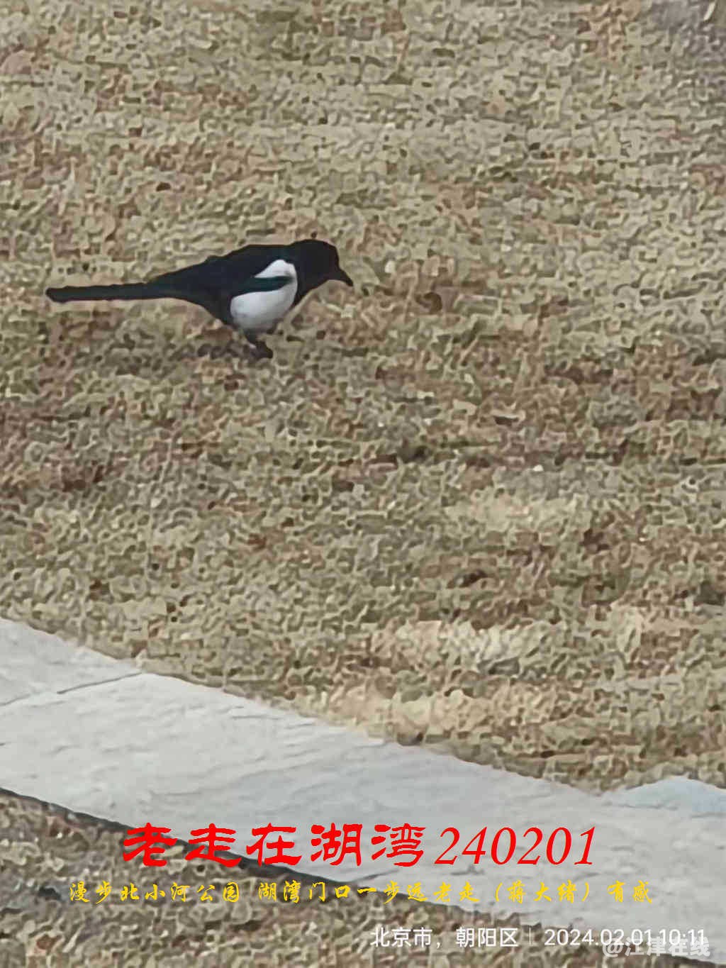 JYZ 20240201 WBQ (57).jpg