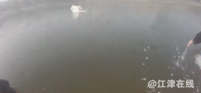 微信截图_20240222101526.png
