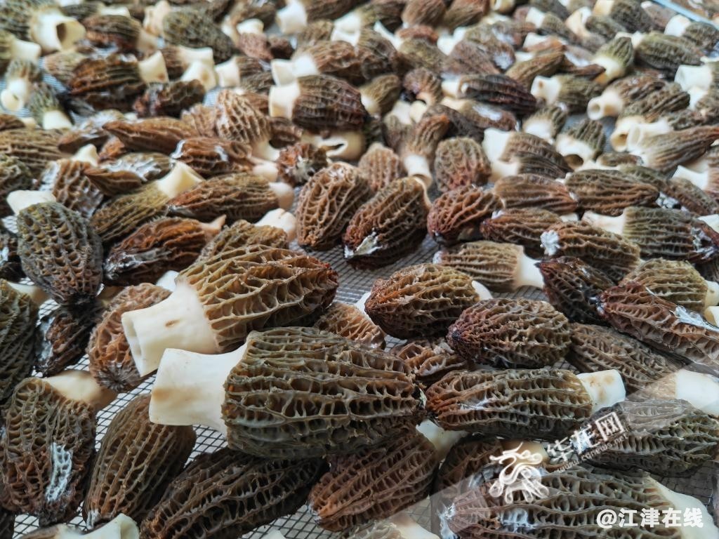 QD7lCgTMKTUbtMGLQ4R2N6A0bQzHivO8c3d_WATERMARK.jpg