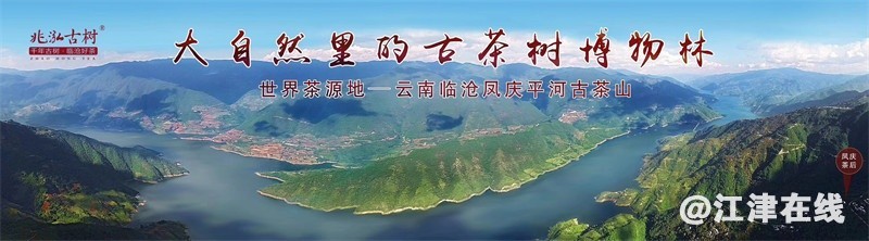 144605nttwjjf4t0ww8hf0.jpg