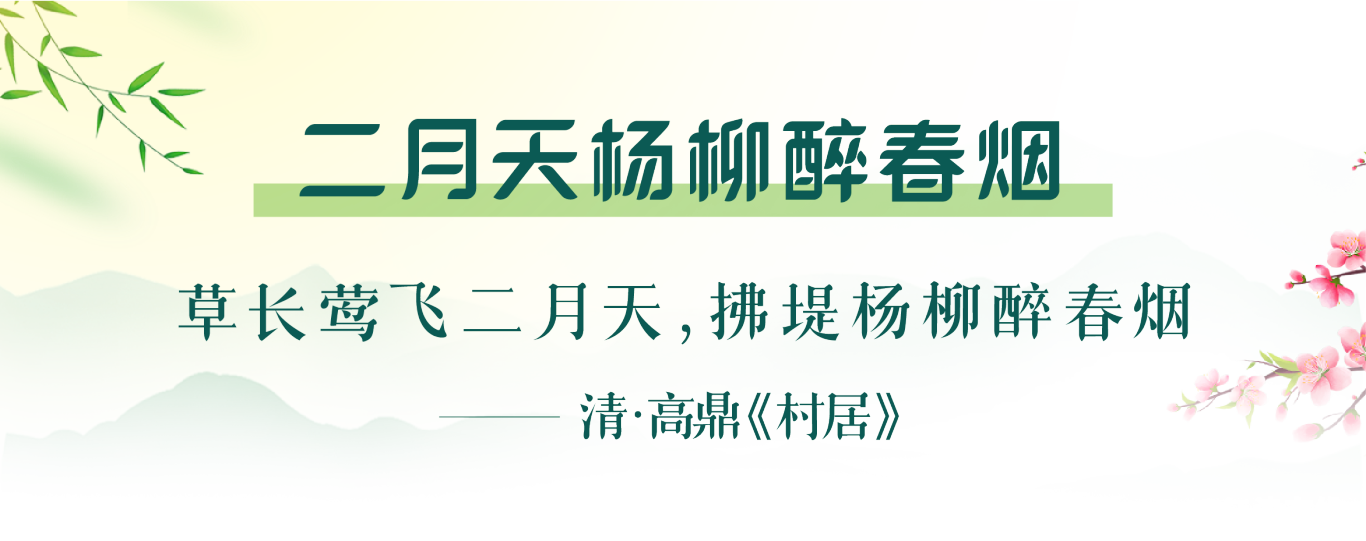 80606b6dfaf7f80872ece2e4c88f7ace.png