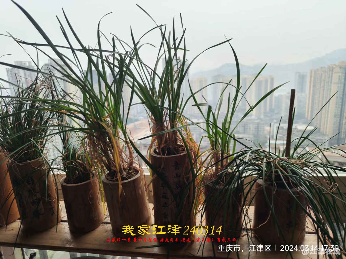 JYZ 20240314 WBQ (11).jpg