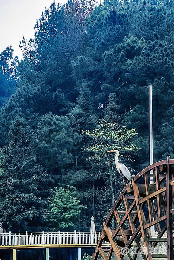 山乡之春 (3).jpg