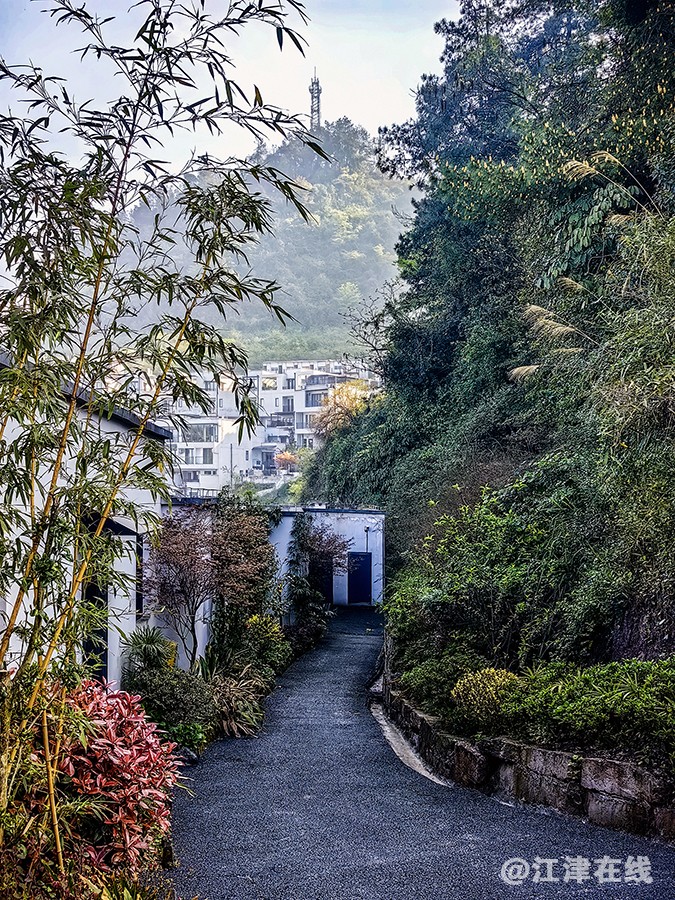 山乡之春 (5).jpg