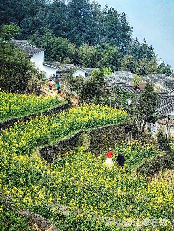 山乡之春 (10).jpg