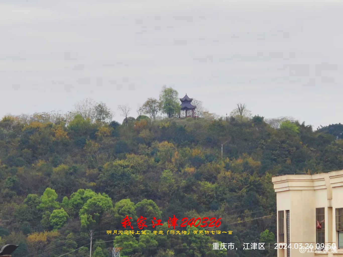 JYZ 20240326 WBQ (22).jpg
