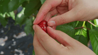 7a4b4b2d0b5d114428f3c726810c6c71.gif