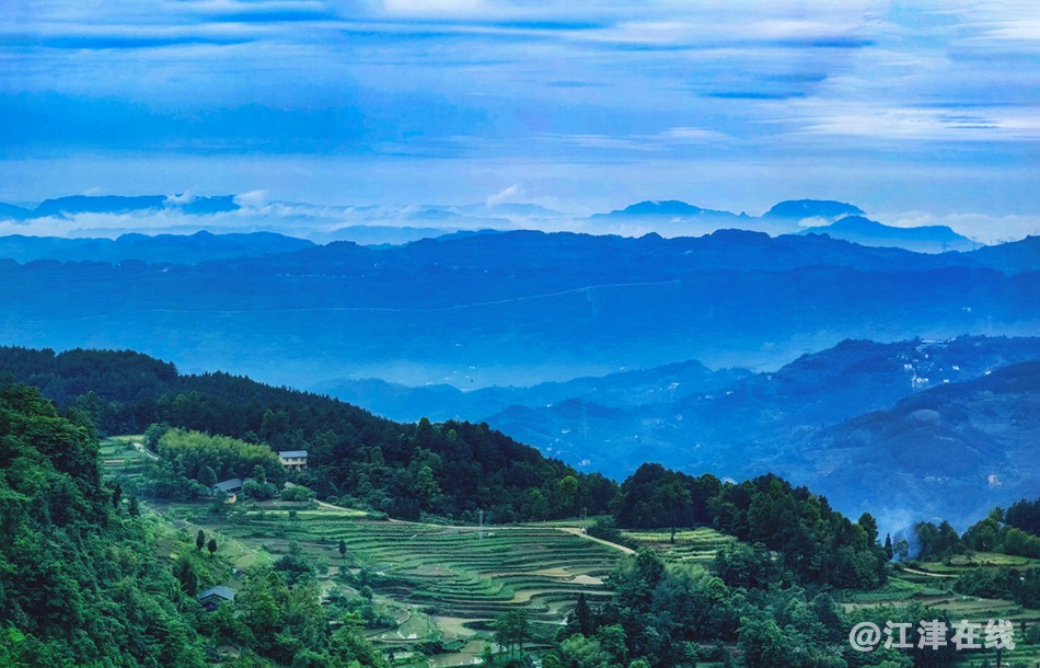 暮春赏景 (1).jpg