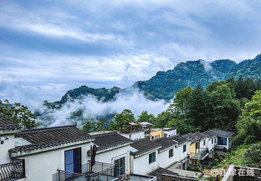 暮春赏景 (2).jpg