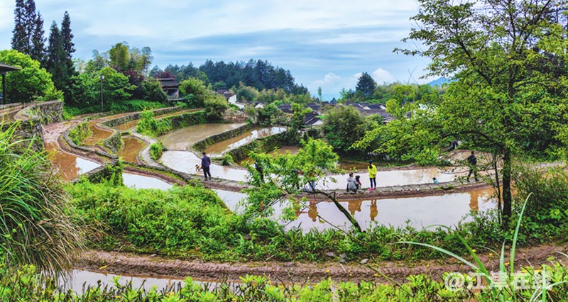 暮春赏景 (3).jpg