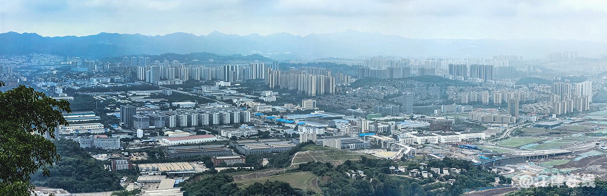 雨雾中拍 (5).jpg