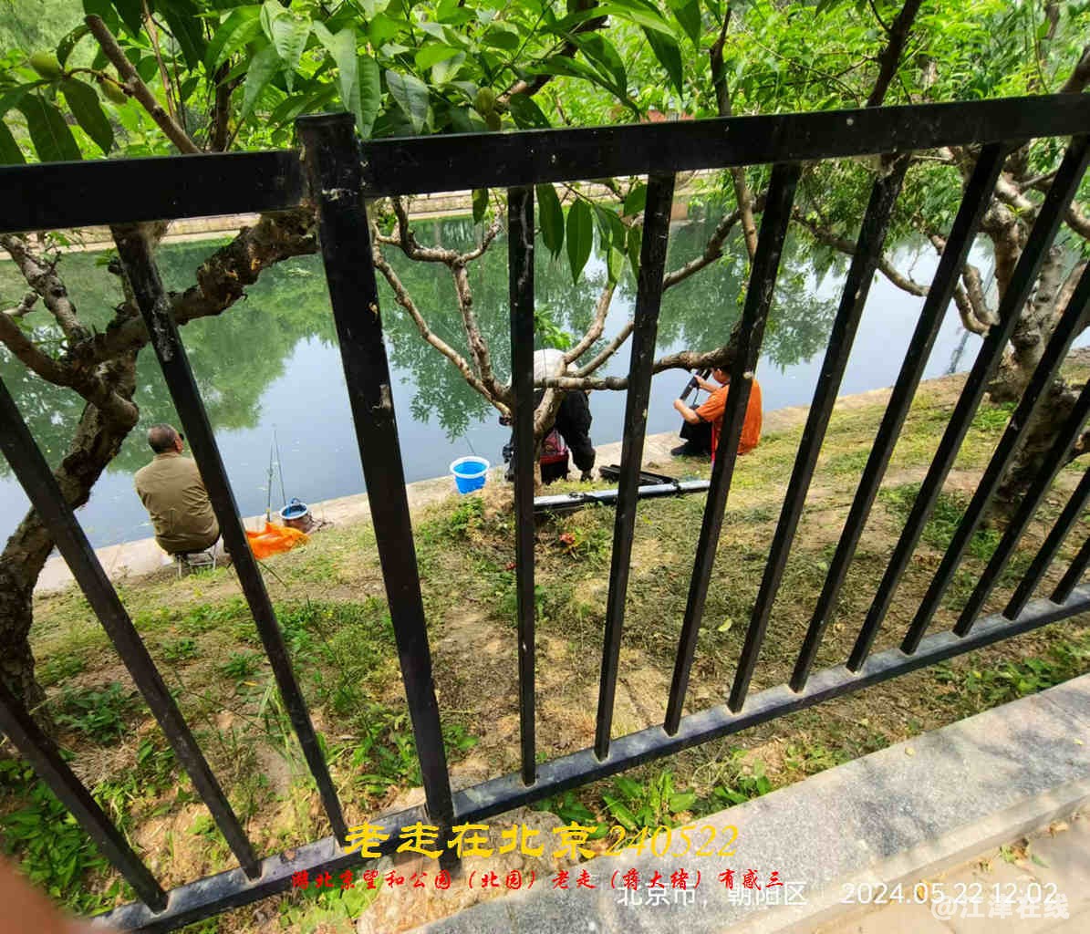 JYZ 20240522 WBQ (30).jpg