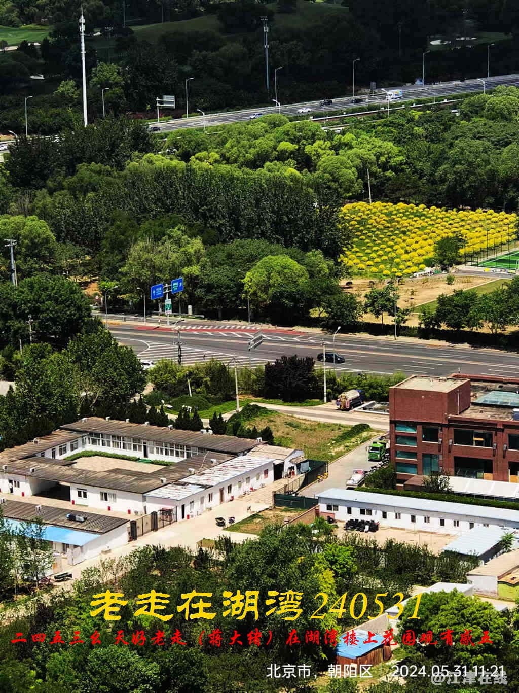 JYZ 20240531 WBQ (35).jpg