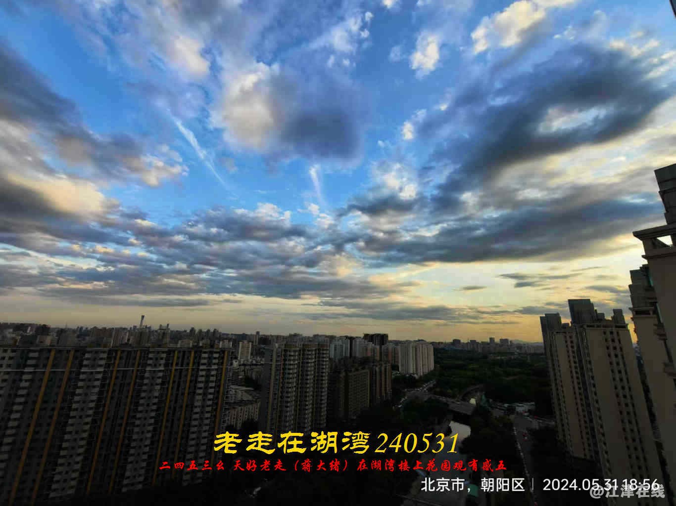 JYZ 20240531 WBQ (50).jpg