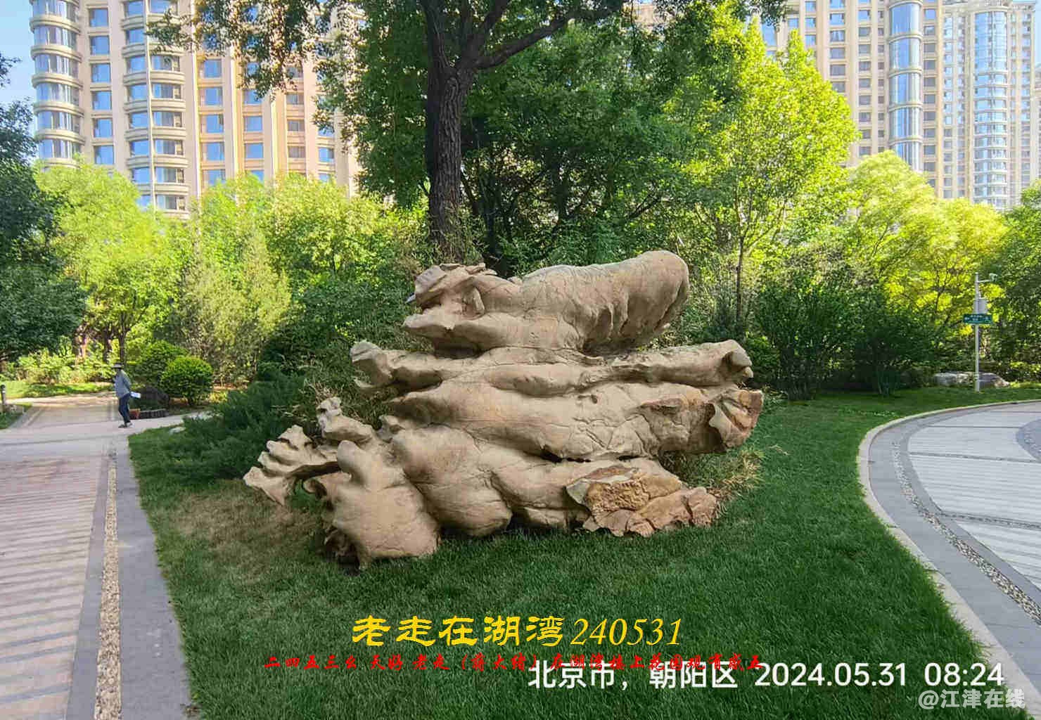 JYZ 20240531 WBQ (81).jpg
