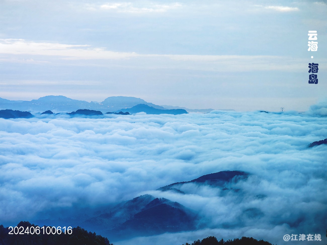 IMG_20240610_061631副本副本副本.jpg