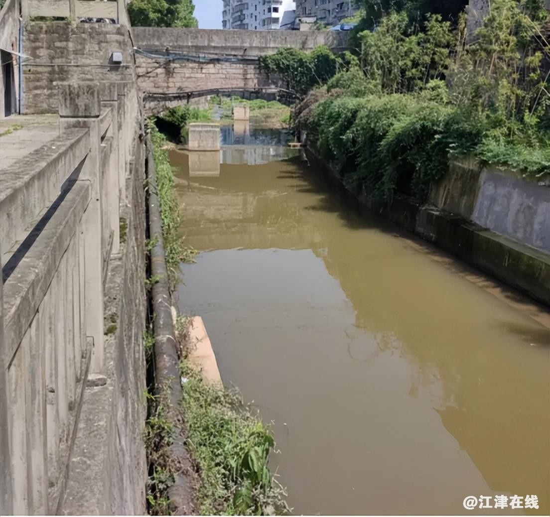1a6971723029439292695b89b31048a4~noop.image?_iz=58558&from=article.jpg