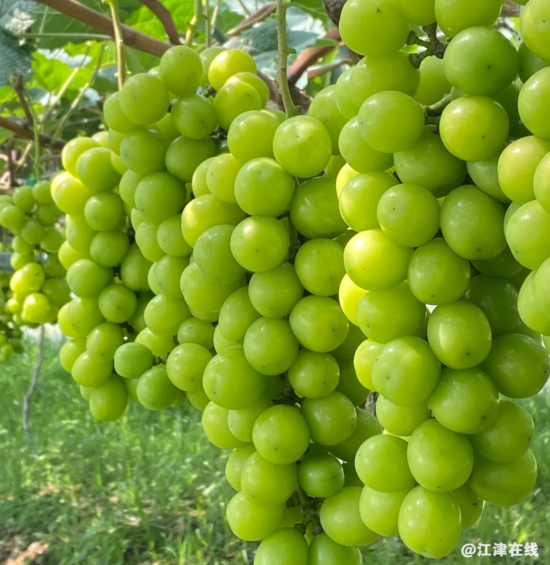 640?wx_fmt=png&from=appmsg&wx_.jpg