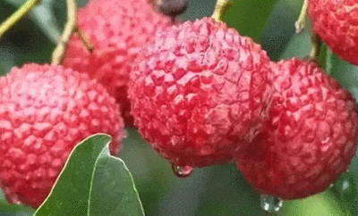 640?wx_fmt=gif&from=appmsg.jpg