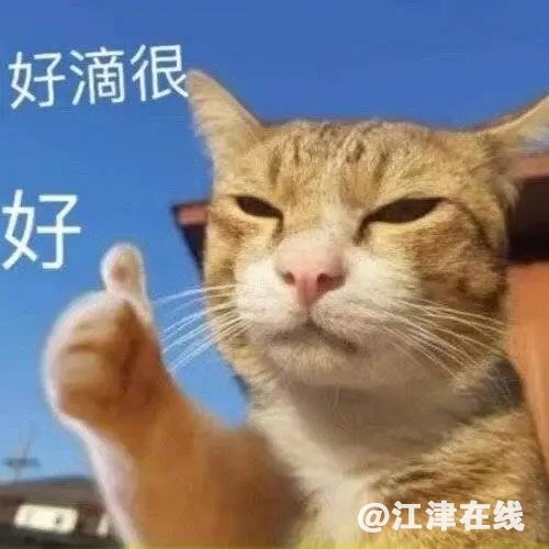 fc5b7ab413b534c5eb6dc3e2f37a018b.jpg