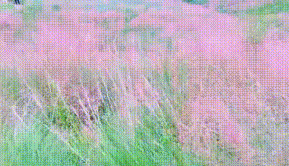 c764a370fdfa4579fac727ffde9f565f.gif