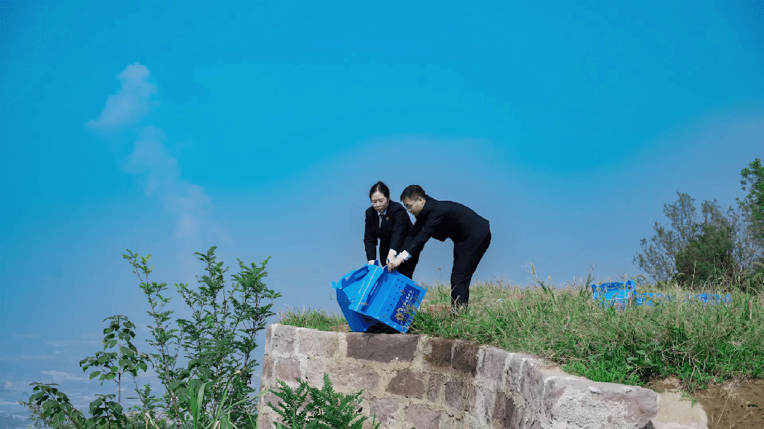 4cfc15bd0b15fa2aa8b024a9835ae8f3.gif