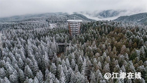 02115932msul.jpg