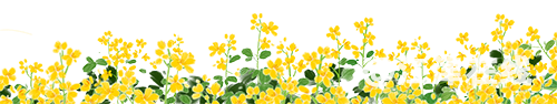 640?wx_fmt=png&from=appmsg.jpg