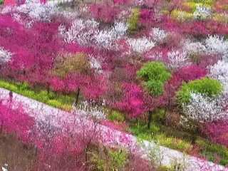640?wx_fmt=gif&from=appmsg.jpg