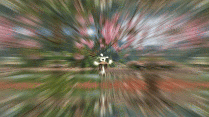640?wx_fmt=gif&from=appmsg.jpg