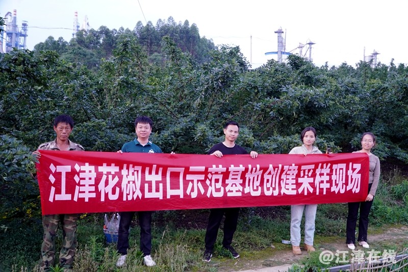 微信图片_20250505112713.jpg